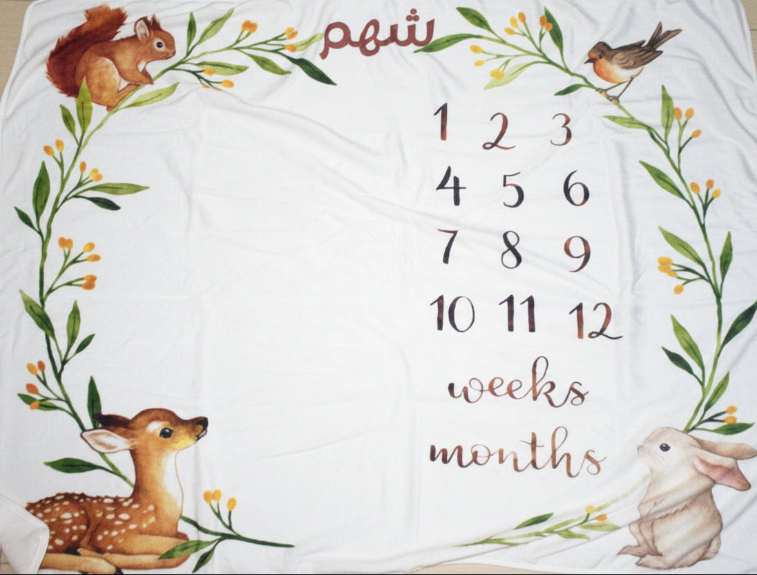 Baby milestone blanket with animals and numbers on a white background