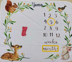Baby milestone blanket with animals and numbers, featuring the name 'Yasmina'